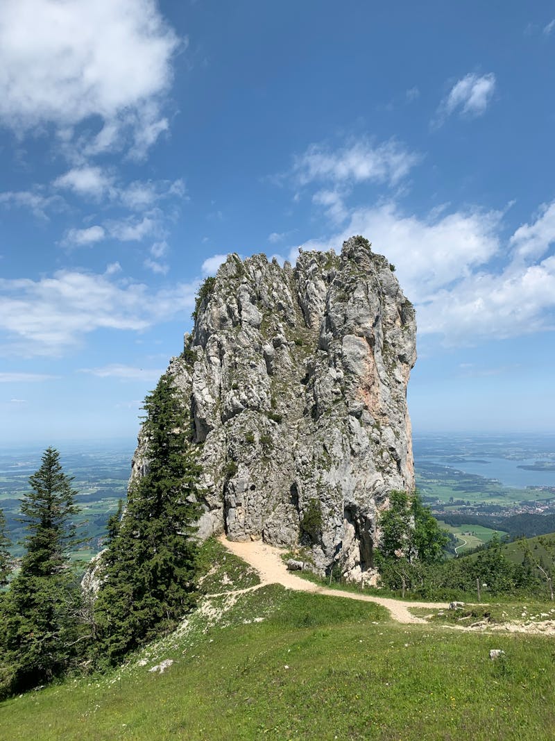 Pet-sitter avec un chien en plein air
