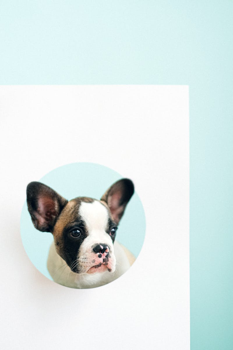 Envoi de nouvelles par t&eacute;l&eacute;phone pendant la garde